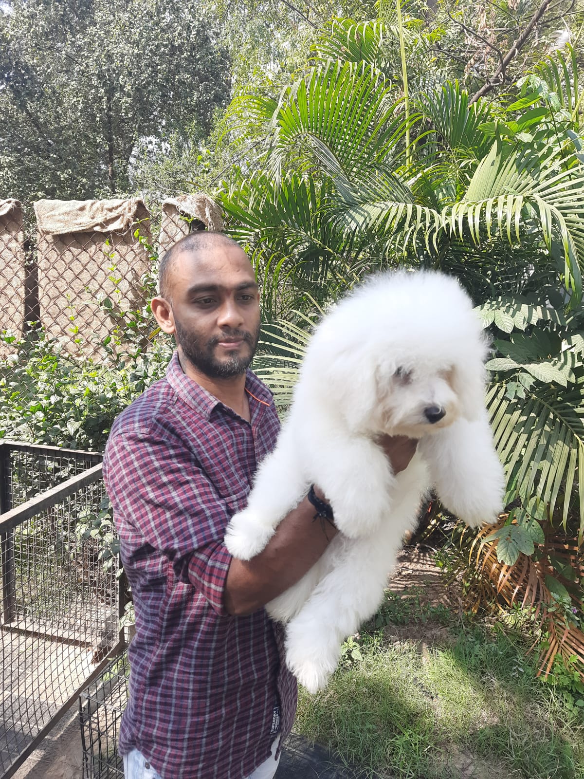 Dog boarding at ShiRock Pet Boarding facility, Gandipet Hyderabad