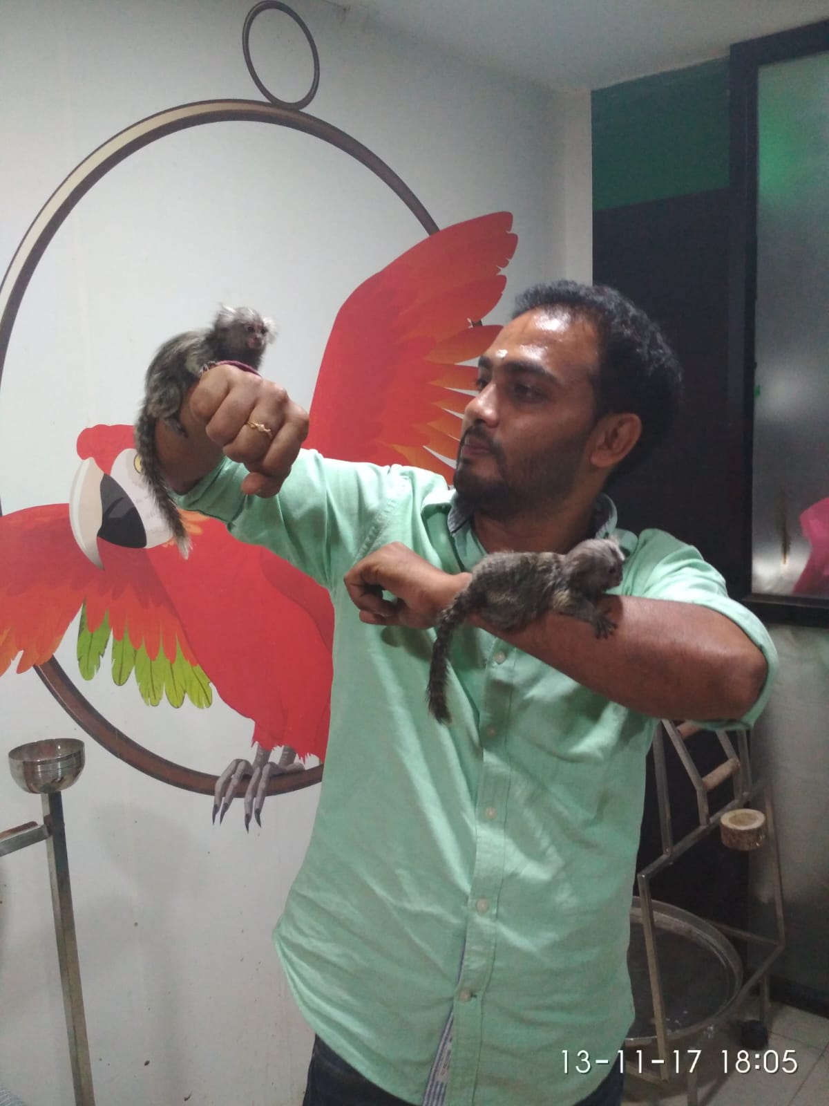 Exotic pets at ShiRock, Hyderabad